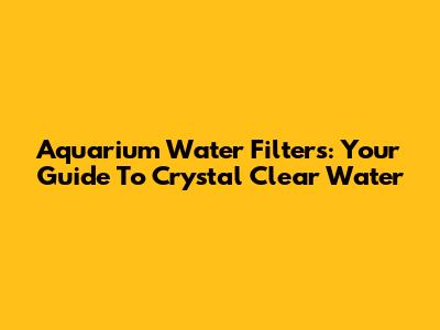 Aquarium Water Filters: Your Guide To Crystal Clear Water