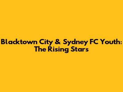 Blacktown City & Sydney FC Youth: The Rising Stars