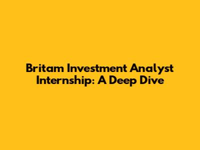 Britam Investment Analyst Internship: A Deep Dive