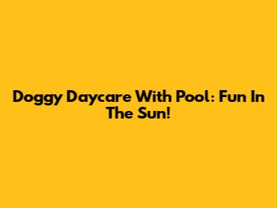 Doggy Daycare With Pool: Fun In The Sun!