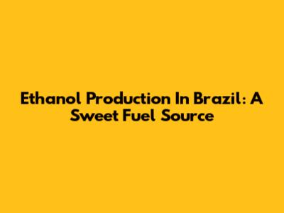 Ethanol Production In Brazil: A Sweet Fuel Source