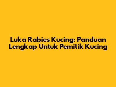 Luka Rabies Kucing: Panduan Lengkap Untuk Pemilik Kucing