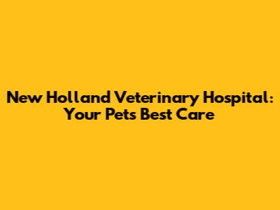 New Holland Veterinary Hospital: Your Pet's Best Care