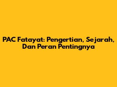 PAC Fatayat: Pengertian, Sejarah, Dan Peran Pentingnya