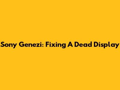 Sony Genezi: Fixing A Dead Display