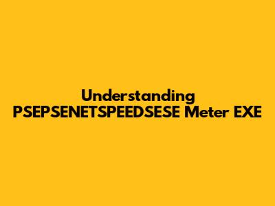 Understanding PSEPSENETSPEEDSESE Meter EXE