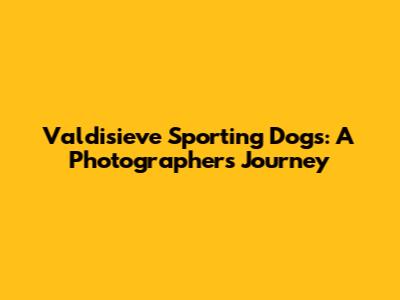 Valdisieve Sporting Dogs: A Photographer's Journey