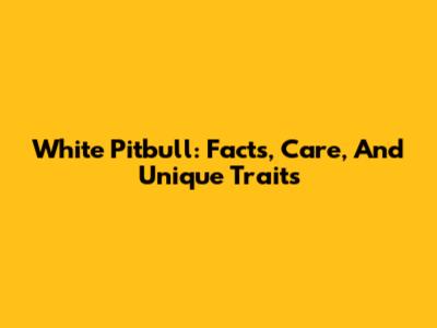 White Pitbull: Facts, Care, And Unique Traits